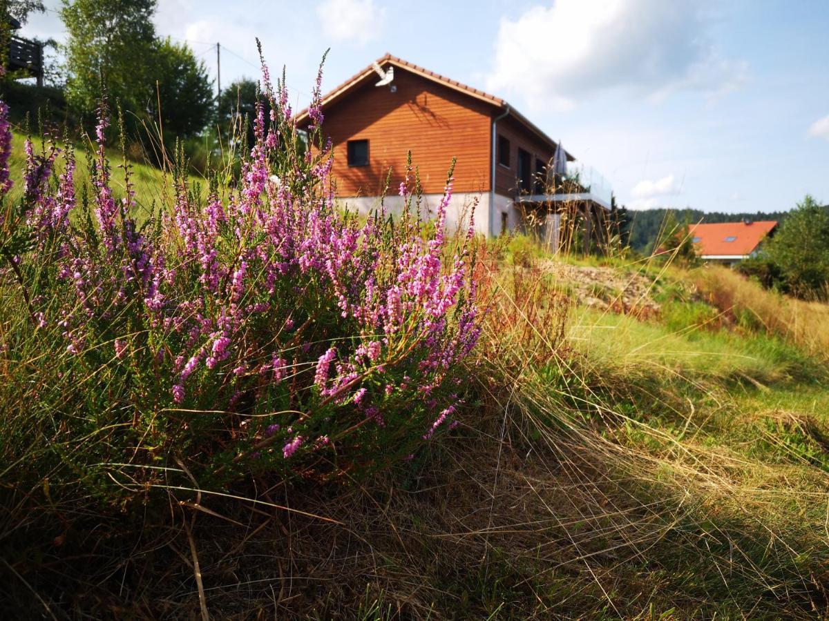 Chalet A L'Oree Du Bois Le Tholy Exterior foto